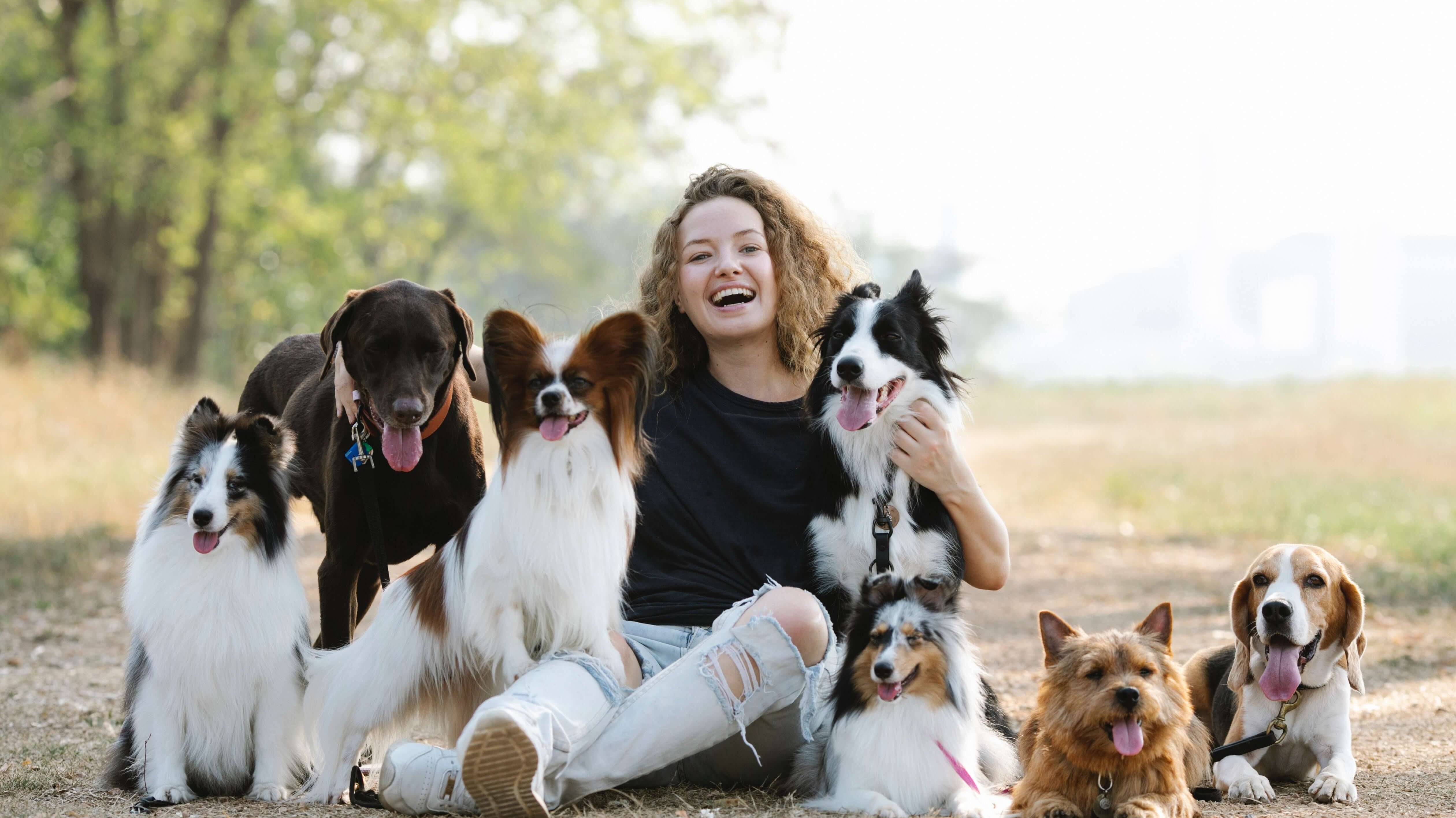 5 Must-Have Products for Pet Parents in 2023: Keep Your Furry Friend Happy, Healthy, and Safe
