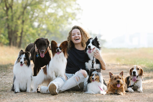 5 Must-Have Products for Pet Parents in 2023: Keep Your Furry Friend Happy, Healthy, and Safe